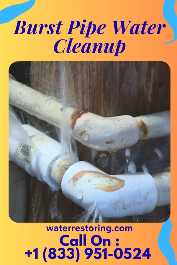 Burst Pipe Water Cleanup in Fort Ransom, ND