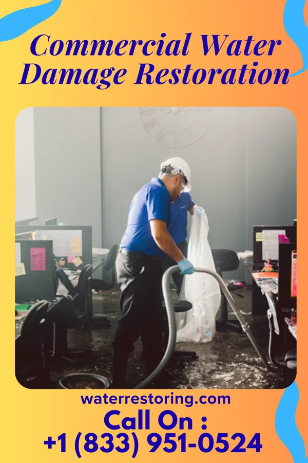 Commercial Water Damage Restoration in Fort Ransom, ND