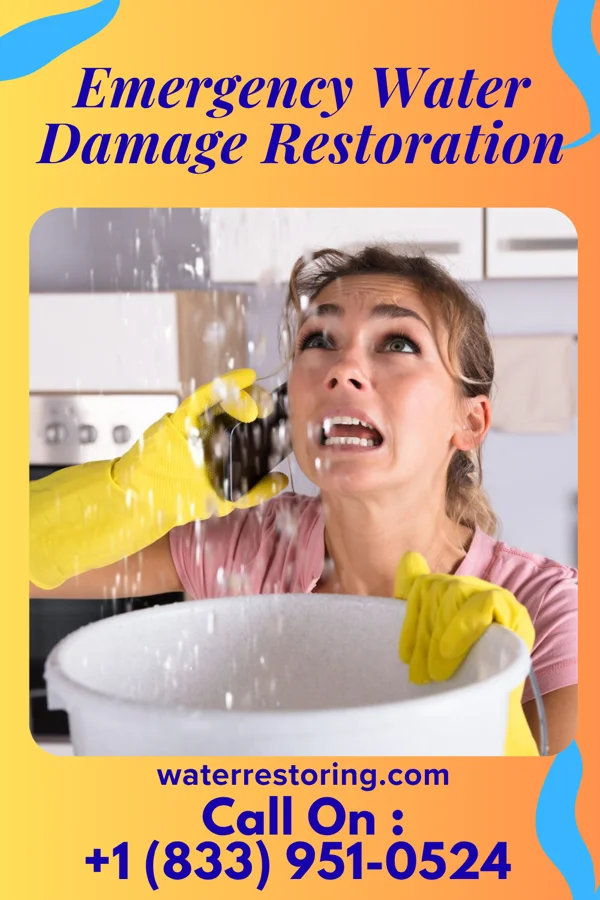 Emergency Water Damage Restoration in Fort Ransom, ND