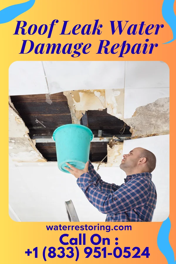 Roof Leak Water Damage Repair in Fort Ransom, ND