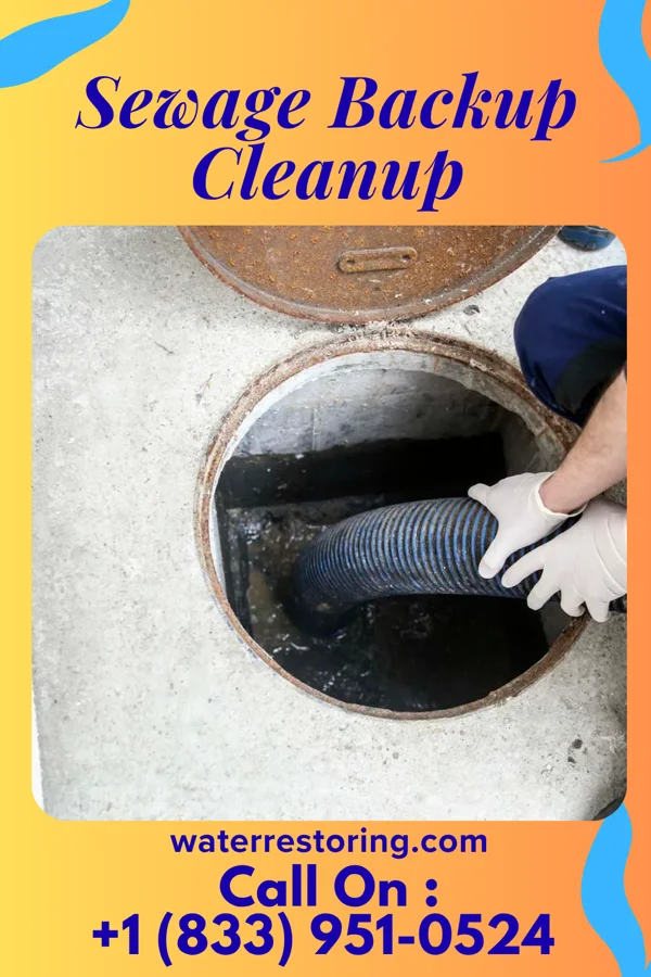 Sewage Backup Cleanup in Fort Ransom, ND
